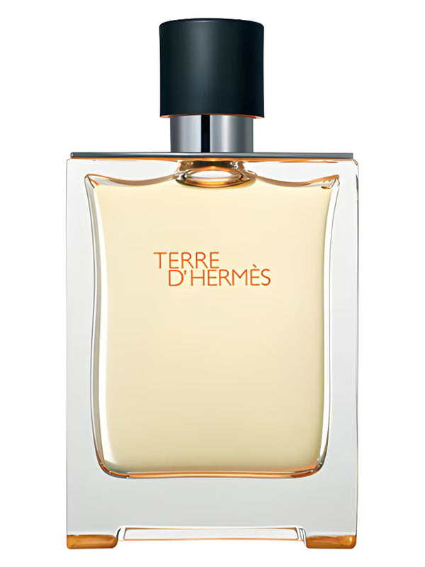 Hermes-Terre D'Hermes EDT 100ml