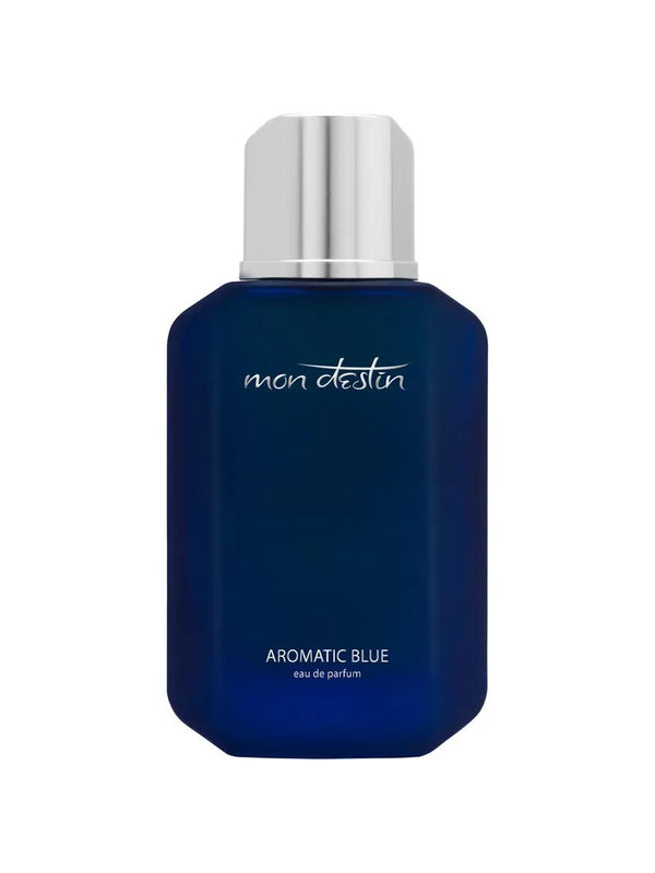 Mon Destin Aromatic Blue 100ml EDP for Men