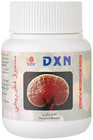 Reishi Mushroom Powder 70g