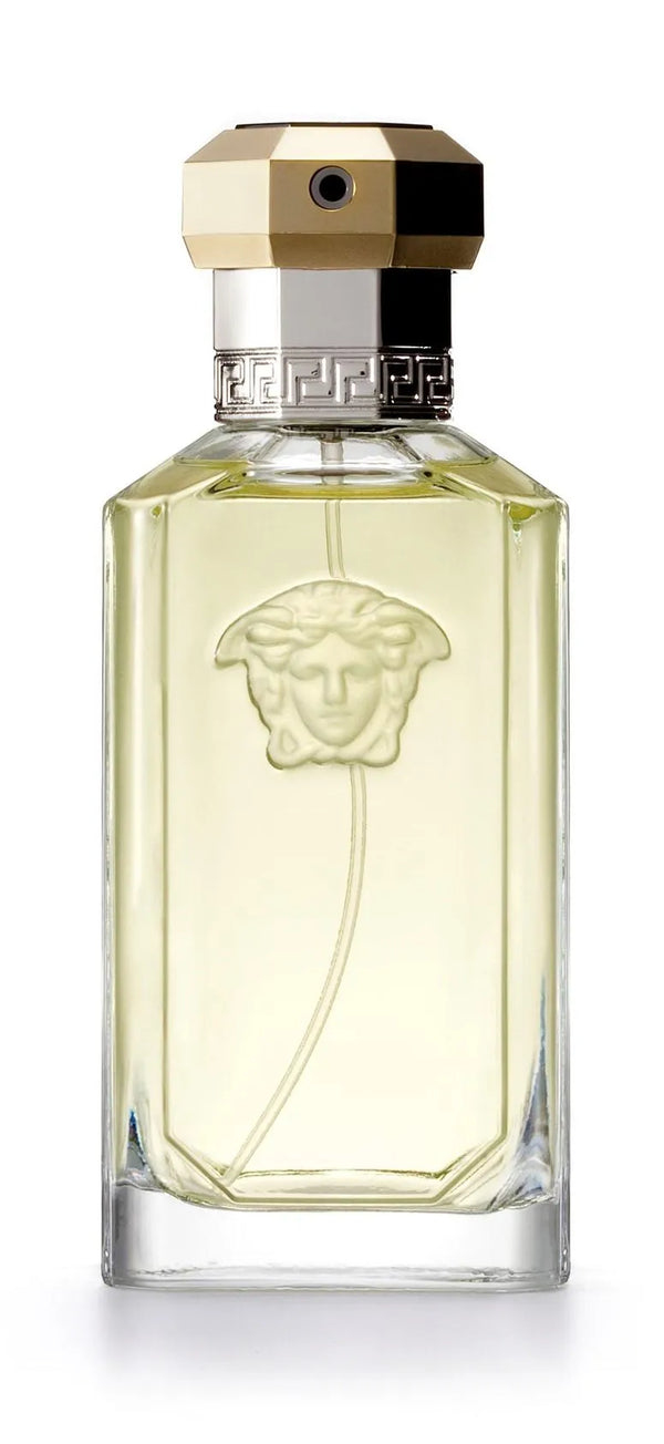 Versace The Dreamer 100ml EDT for Men