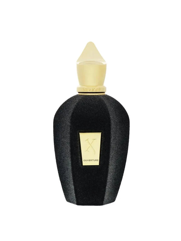 Xerjoff Ouverture 100ml EDP Unisex