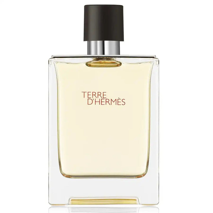 Hermes Terre D'hermes (Edt) - 100ml